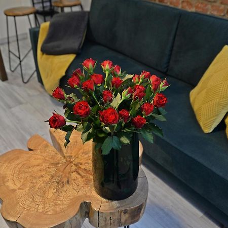 Loft Maly Daire Kościerzyna Dış mekan fotoğraf
